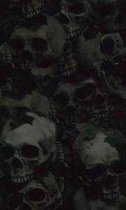 skulls.jpg