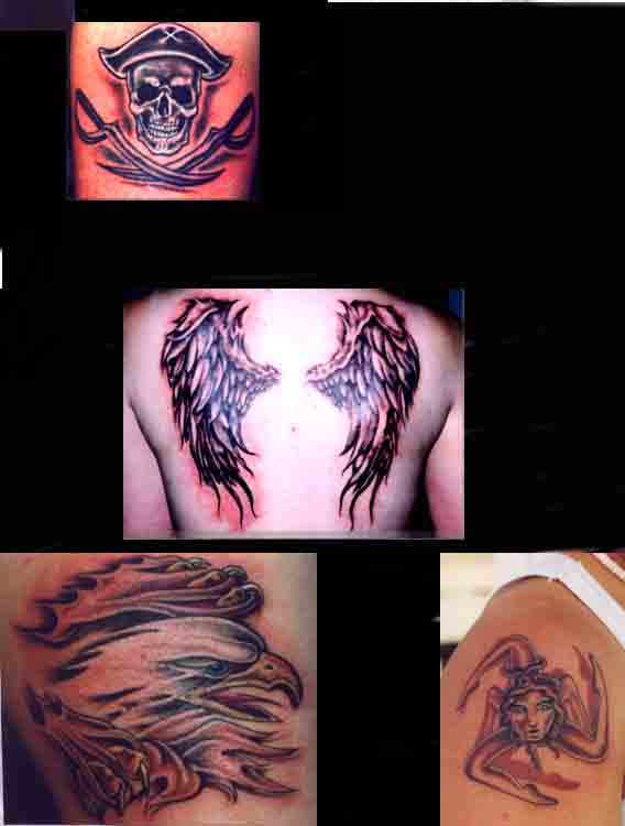 wingsblackback.jpg